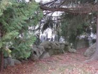 cemetery wall and tree
