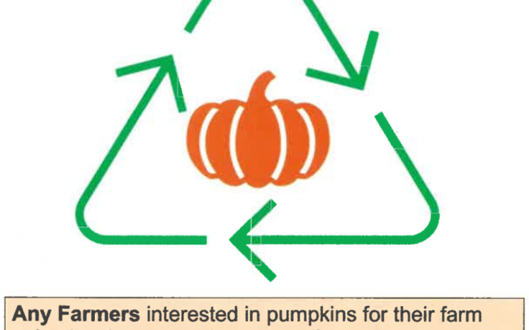 recycling [pumpkins